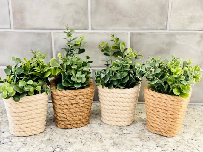DIY dollar tree project with mini planters wrapped in large jute and containing small eucalyptus plants. 